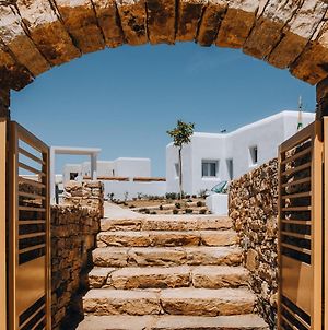 Villa Xerolithos Natural Living à Naxos City Exterior photo