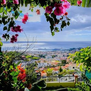 Villa Granny'S House View à Funchal  Exterior photo