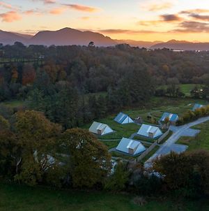 Killarney Glamping At The Grove, Suites And Lodges Exterior photo