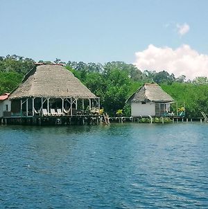 Villa El Clandestino à Bocas del Toro Exterior photo