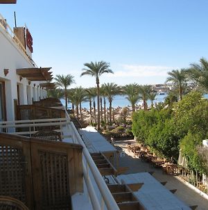Hôtel Oonas Dive Club à Charm el-Cheikh Exterior photo