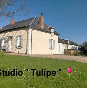 Appartement studio "tulipe" dans le Berry à Les Bordes Exterior photo