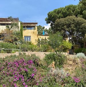 Spacieux T3 avec jardin et proche de la mer Casaglione Exterior photo