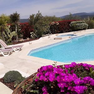 Gîte provençal indépendant avec piscine chauffée : LE SUY BIEN Flayosc Exterior photo
