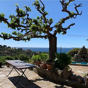 Villa Provençale avec vue mer panoramique Le Lavandou Exterior photo