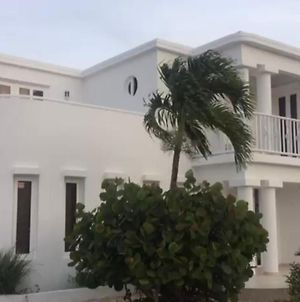 Eagle Beach Casa Magica Palm Beach Exterior photo
