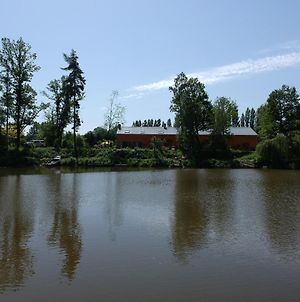 Florennes Gîte neuf 150 M2 devant un grand lac privé de 2 hectares poissonneux au milieu des bois Exterior photo