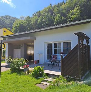 Villa Haus Beim Wasser Im Grunen In Sehr Ruhiger Lage!! à Willersbach Exterior photo