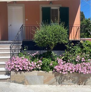 Villa Loukia Corfu  Exterior photo