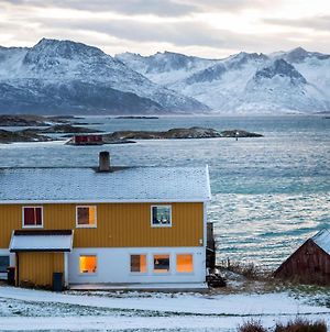 Cozy Apartment By The Sea Tromsø Exterior photo