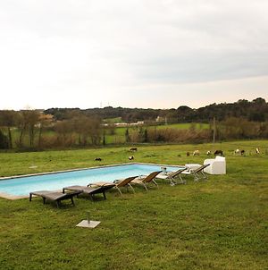 Villa Mas Goy, Casa Rural Con Piscina à Gérone Exterior photo