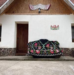 Villa Casa Bunicilor à Teliucu Inferior Exterior photo