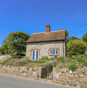 Ladylands Cottage Newport  Exterior photo