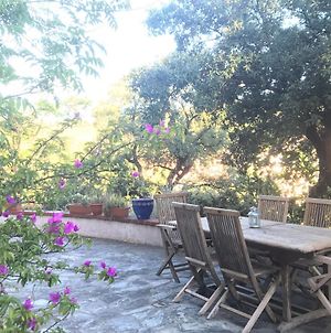 Appartement Appart. 3 pièces avec jardin et Piscine à Collioure Exterior photo