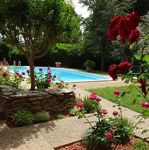 Villa La Mésange Bleue - piscine privée à LʼIsle-sur-la-Sorgue Exterior photo
