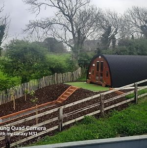 Appartement Ivy Hill Glamping Pod à Ennis Exterior photo