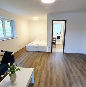 Rooms And Apartments Vili Ptuj Exterior photo