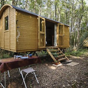 Lovely 2-Bed Shepherds Hut In A Forest Sougeres-en-Puisaye Exterior photo