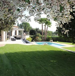 Luxurious Villa 4 Bedrooms In Secluded Area, Swimming Pool Valbonne Exterior photo