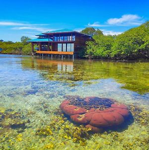 Bahia Coral Lodge Bocas del Toro Exterior photo