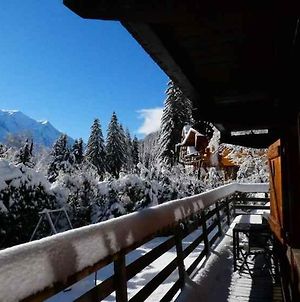 Chalet Falcon - Spacious Argentiere Chalet With Hot Tub Chamonix Exterior photo