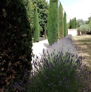 Villa Magnifique propriété au cœur de la Provence, le Mas des Anges à Avignon Exterior photo