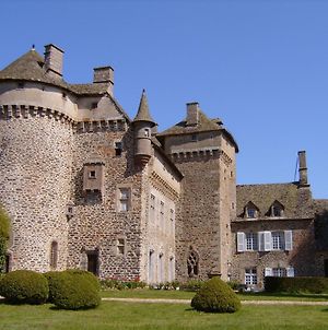 Hôtel Château de La Vigne à Ally Exterior photo
