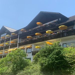 Hotel Schauinsland Bad Peterstal-Griesbach Exterior photo