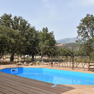 Villa Domaine U Filanciu - Maison Chiara avec piscine - Centre Corse à Moltifao Exterior photo