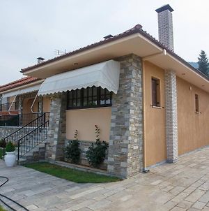 Villa Βίλα Για Όλες Τις Εποχές Του Χρόνου à Kozani Exterior photo