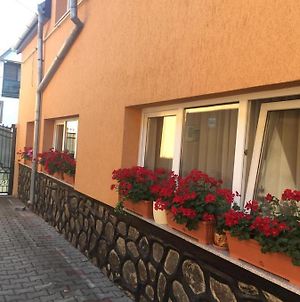 Appartement Casa Bis à Sibiu Exterior photo