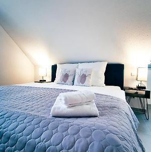 Brand-New Cozy Stylish 2Br Apartment, Kitchen, Netflix, Loungeterrace, Parking Augsbourg Exterior photo