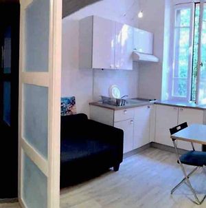 Appartement Petit studio bien placé jardin et parking gratuit à Toulouse Exterior photo