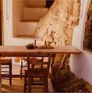 Appartement Naxos Mountain Retreat - Tiny House Build On Rock à Koronos Exterior photo