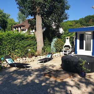 Villa Maison bord de Marne 8min disneyland et val d'Europe à Chalifert Exterior photo