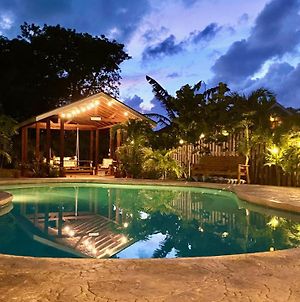 Dreamspace Cottage, Private Pool, Lush Garden, Car Included Nassau Exterior photo