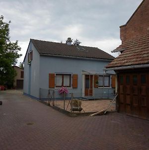 Villa Maison bleue Petermann à Marckolsheim Exterior photo