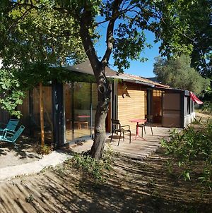 Villa Le mazet des amants, cabane en bois avec jacuzzi privatif à Avignon Exterior photo