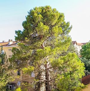 Appartement Appart à la cime des Pins à Montpellier Exterior photo