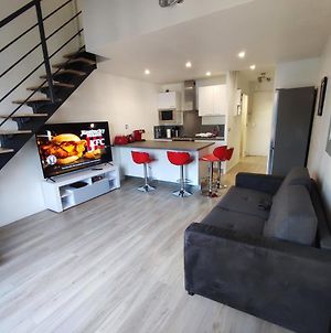Appartement Duplex Autonome Cosy à Roissy en France Exterior photo