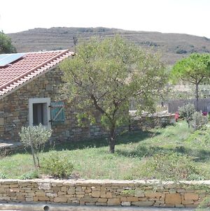 Villa Ataraxia At Saravari Beach - Olive House à Agios Alexandros Exterior photo