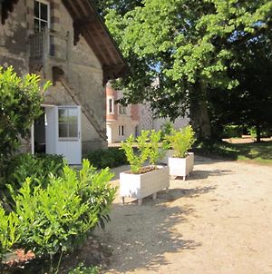 Villa La Vallière en Vue duplex avec sauna à Amboise Exterior photo