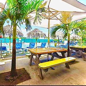 Maison de 3 chambres a Le Vauclin a 500 m de la plage avec piscine partagee jardin clos et wifi Exterior photo