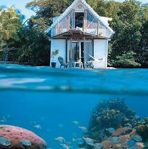 Floating Lodge La Casa Nenufar Bocas del Toro Exterior photo