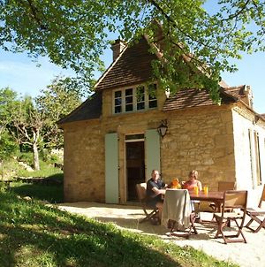 Cozy Cottage In Aquitaine With Private Swimming Pool Peyzac-le-Moustier Exterior photo
