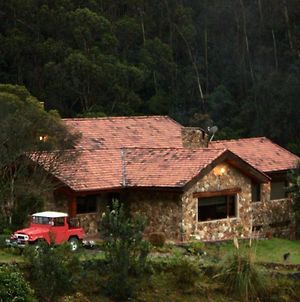 Villa Casa En El Bosque De Mazan Disfruta La Naturaleza à Cuenca Exterior photo