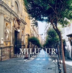 Bed and Breakfast Miluaur - Centro Storico - Lungo La Via Della Musica! à Naples Exterior photo