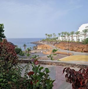 Appartement Soleil et Océan à Playa Paraiso  Exterior photo