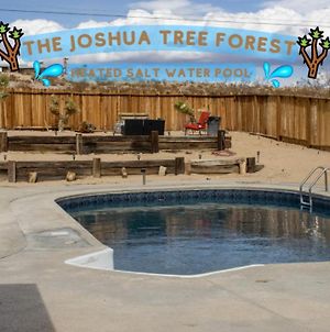 Villa The Joshua Tree Forest - Heated Saltwater Pool! à Twentynine Palms Exterior photo