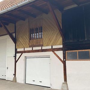 Villa Superbe corp de ferme Illkirch de 6 à 15 pers Exterior photo